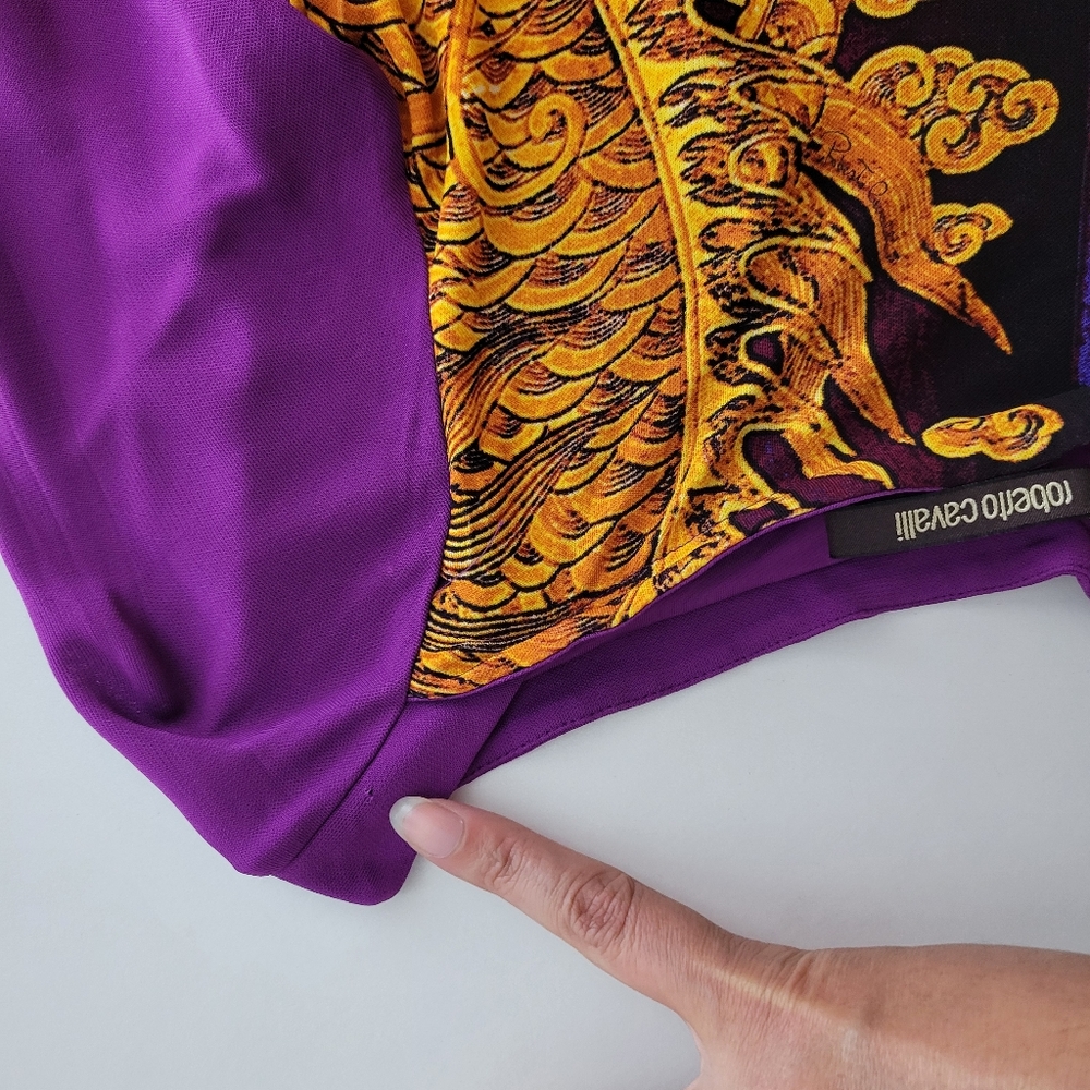 Roberto Cavalli Vintage Y2K Mesh Dragon Print Mini Dress Rare Hard to Find - Picture 12 of 12